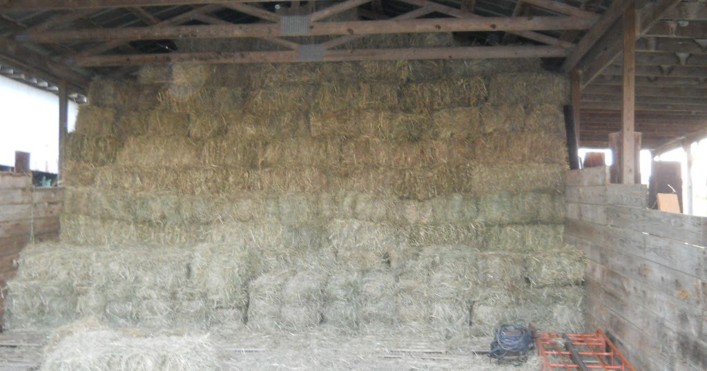 White House Farms Premium Grade Horse Hay!