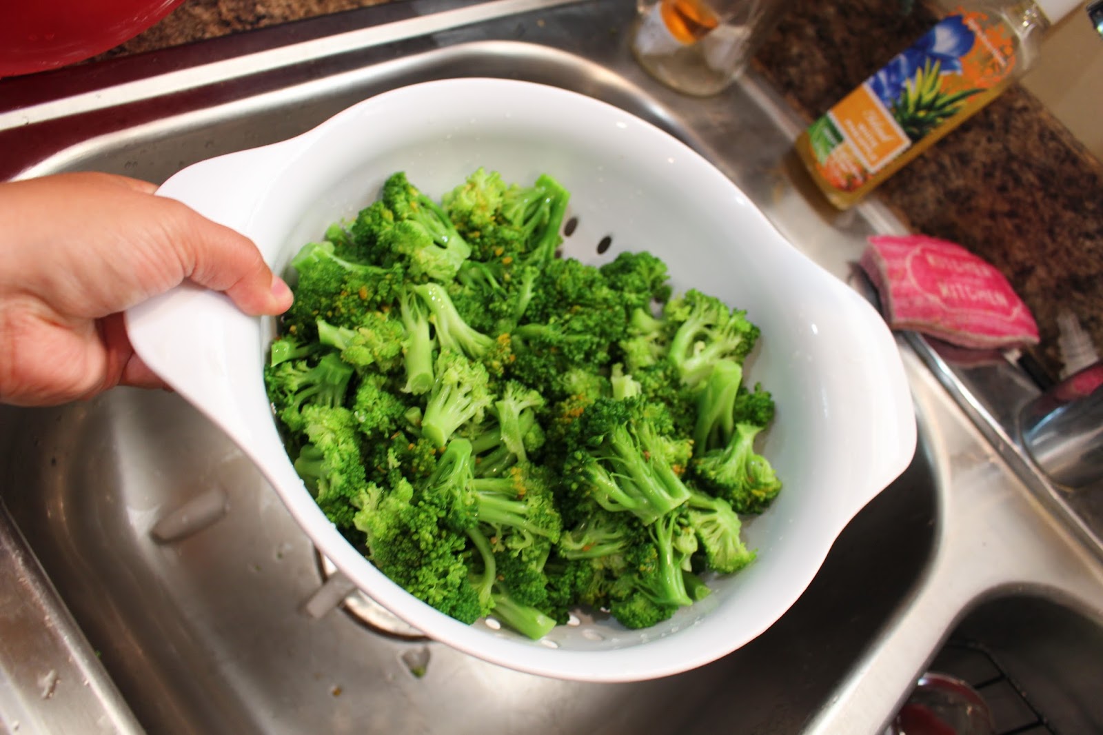Millennial Homestead How to Freeze Broccoli from the Garden