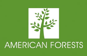 American Forests