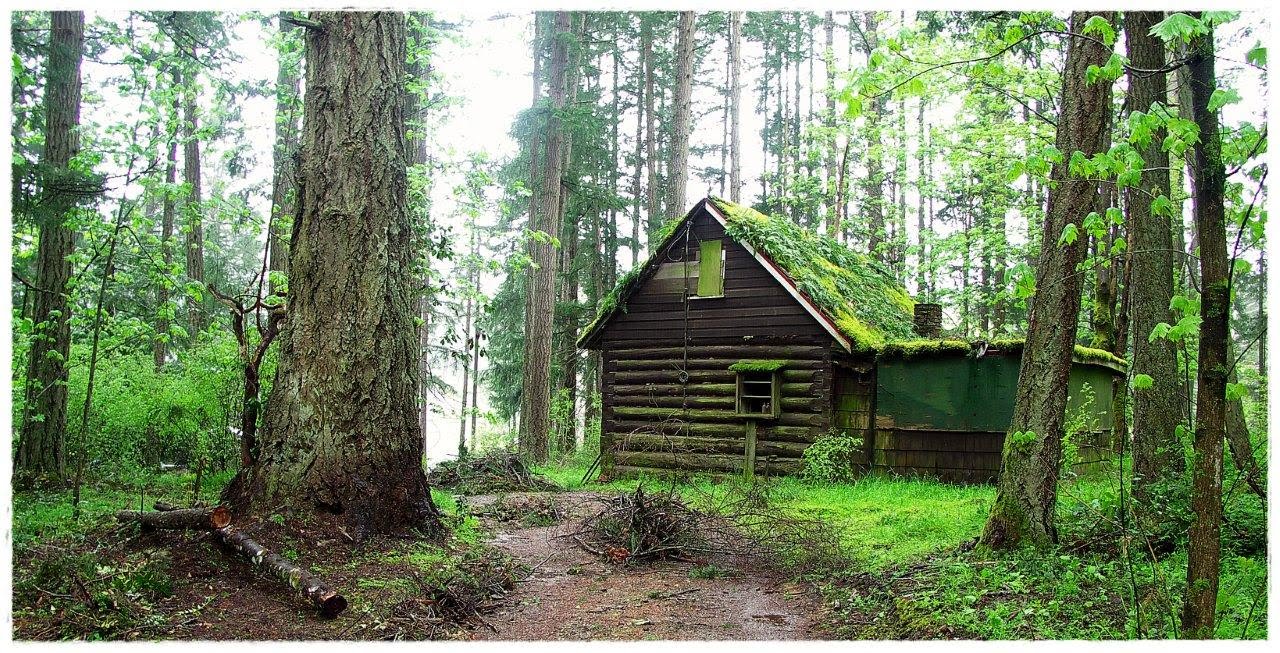 Bigheadtaco Com Salt Spring Island 2007