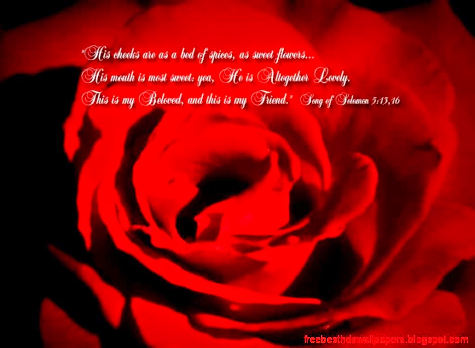 wallpaper for computer screens free – 1024×768 High Definition wallpaper for computer screens free – 1024×768 High Definition