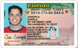 license drivers birthday driver florida dl car july collector candidate malcolm hillsborough tax county favor sample imperfectly living looms before