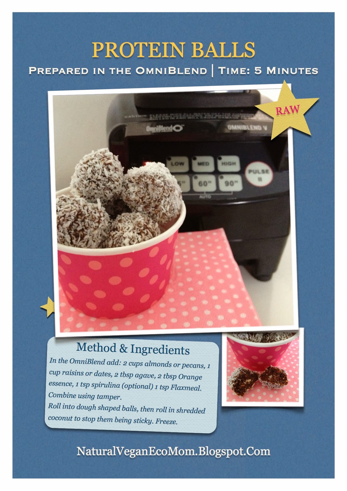 Natural Vegan Eco Mom Downloadable recipe OmniBlend prepared Vegan Raw Protein balls