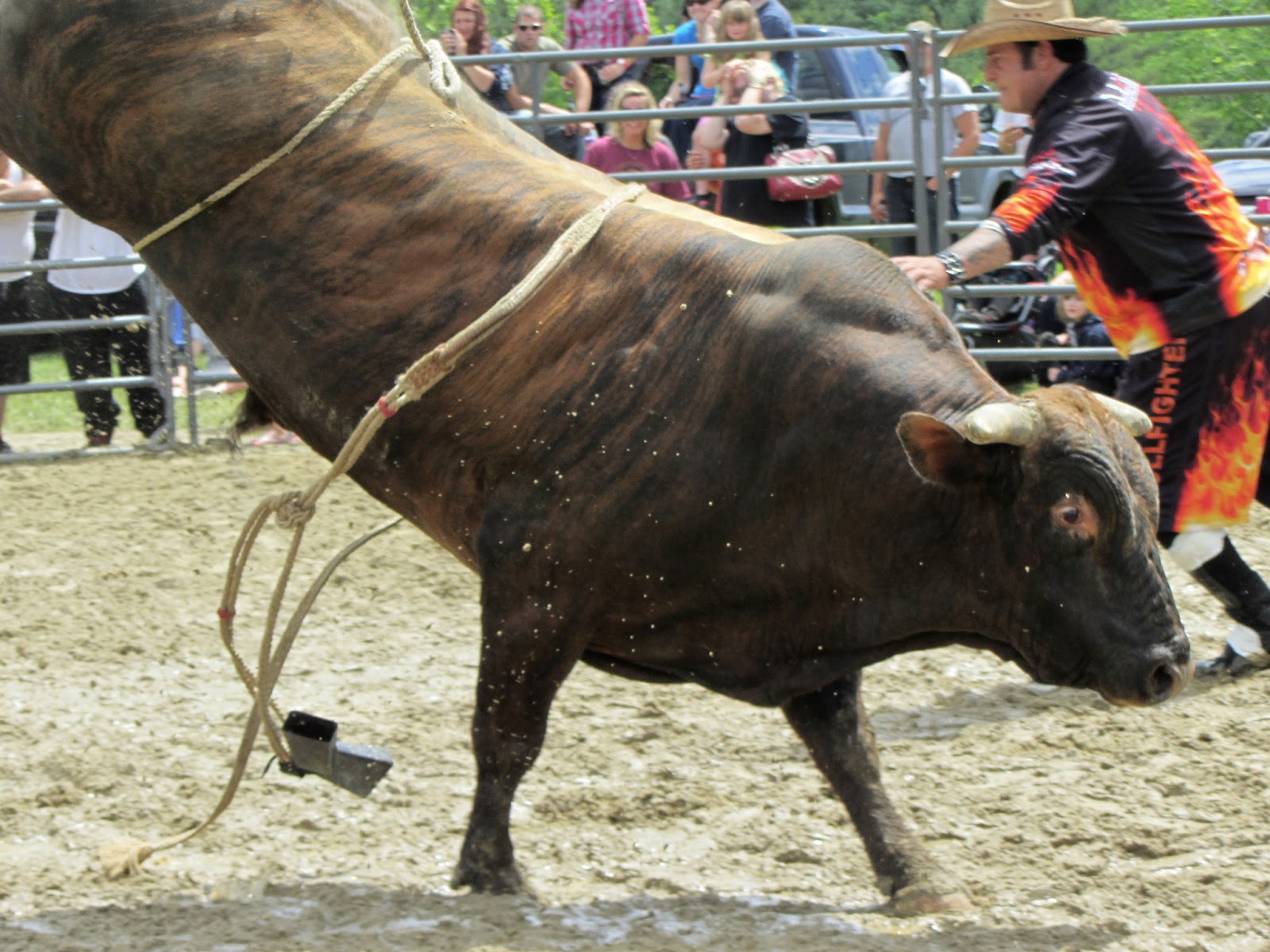SNOTITUDE Bucking Bull Blog Top Hand Bull Riding Event