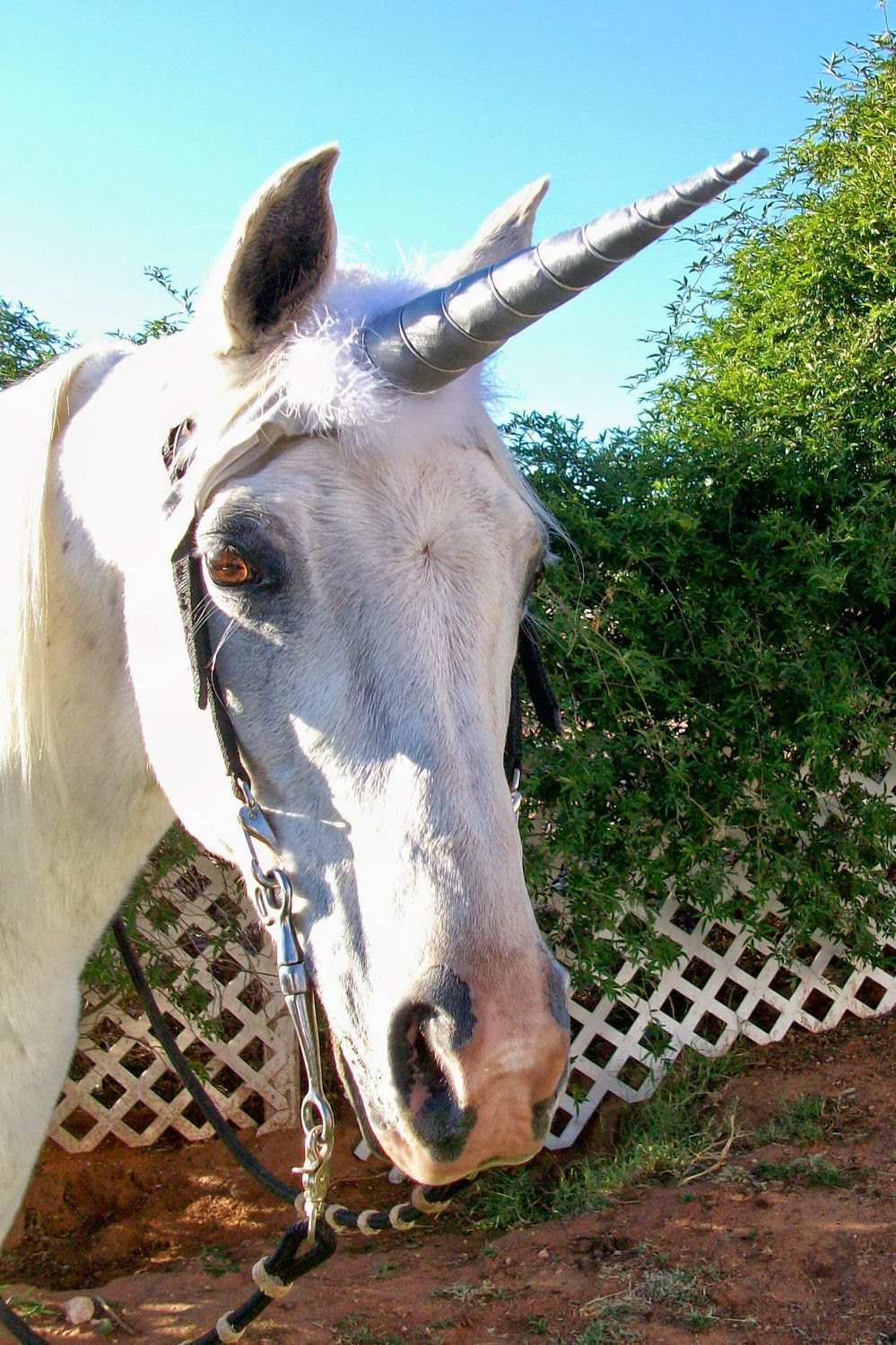 How to Carve Roast Unicorn: MAGICAL HORSE UNICORN HORN