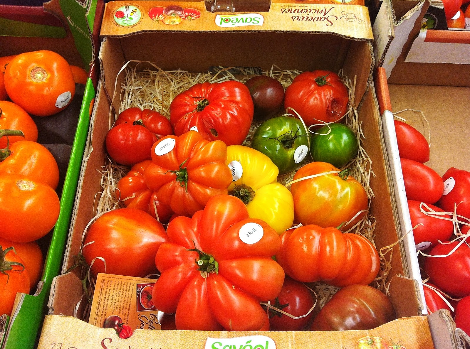Roasted Tomatoes with Fresh Basil GF SCD Gluten Free SCD and Veggie