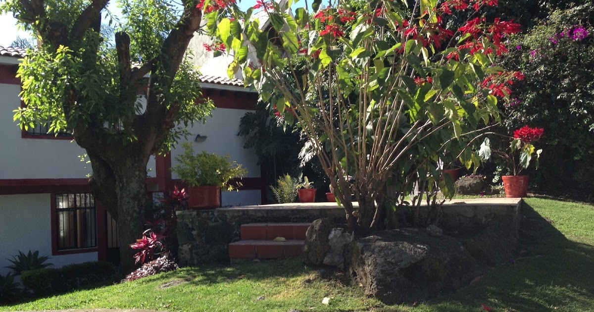 YOLANDA CERVANTES Bienes Raices: RENTA. LINDA CASA CON HERMOSOS JARDINES.