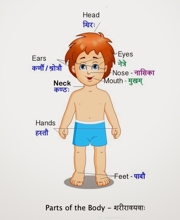 Sanskrit Beginners' Blog: Nov 23, 2014