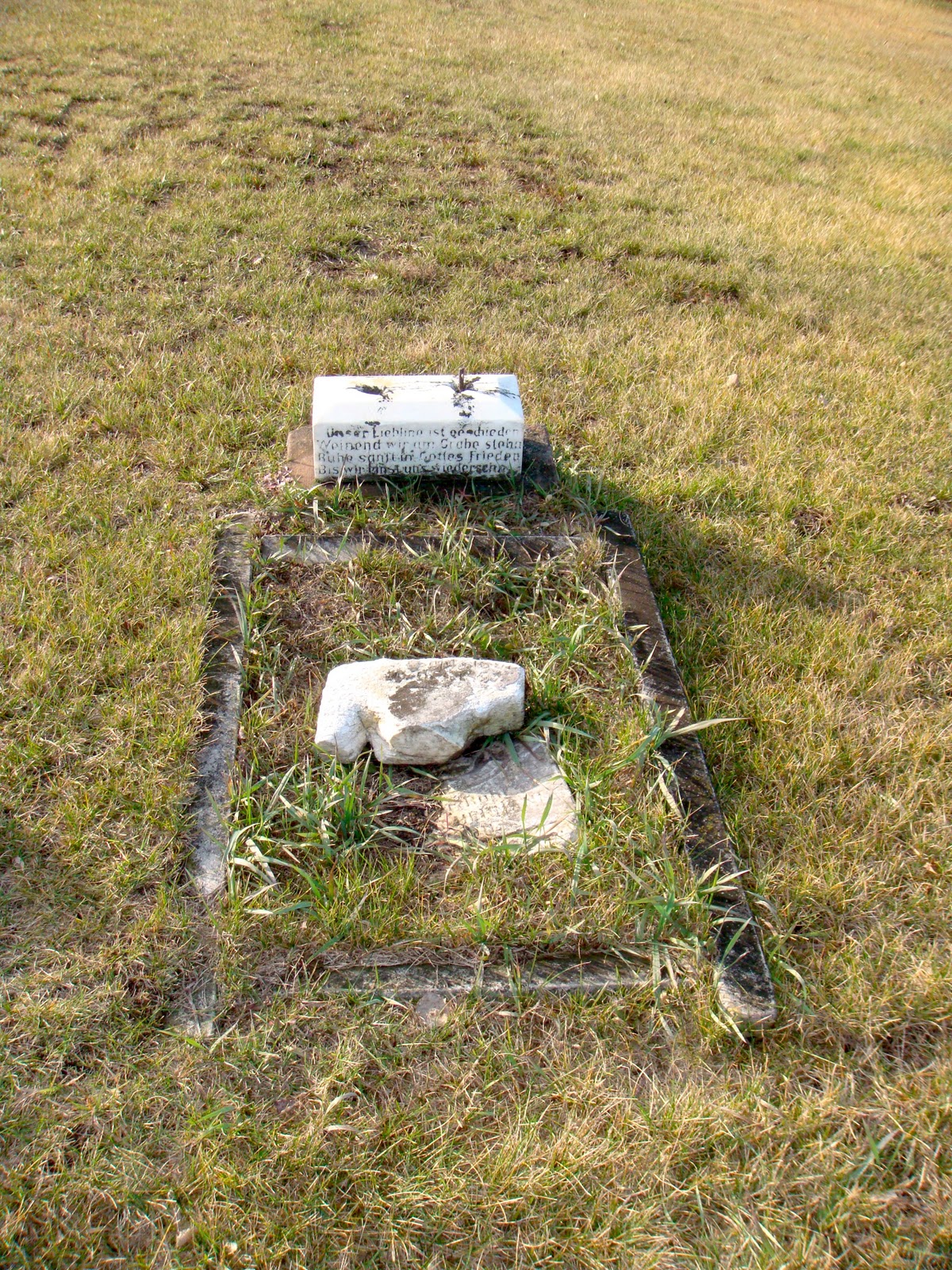 Minnesota Cemeteries Pioneer Cemetery (Morrison County) Swanville