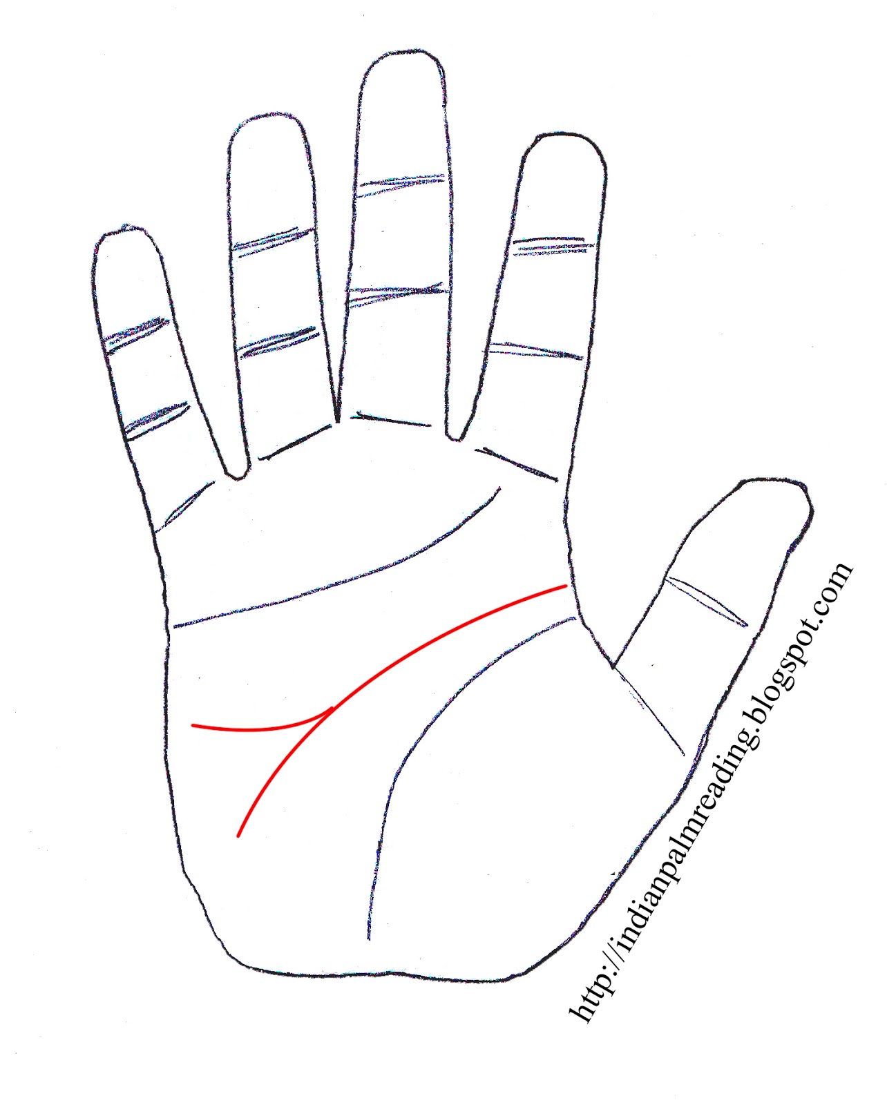Forked Head Line Palmistry INDIAN PALM READING INDIAN PALMISTRY