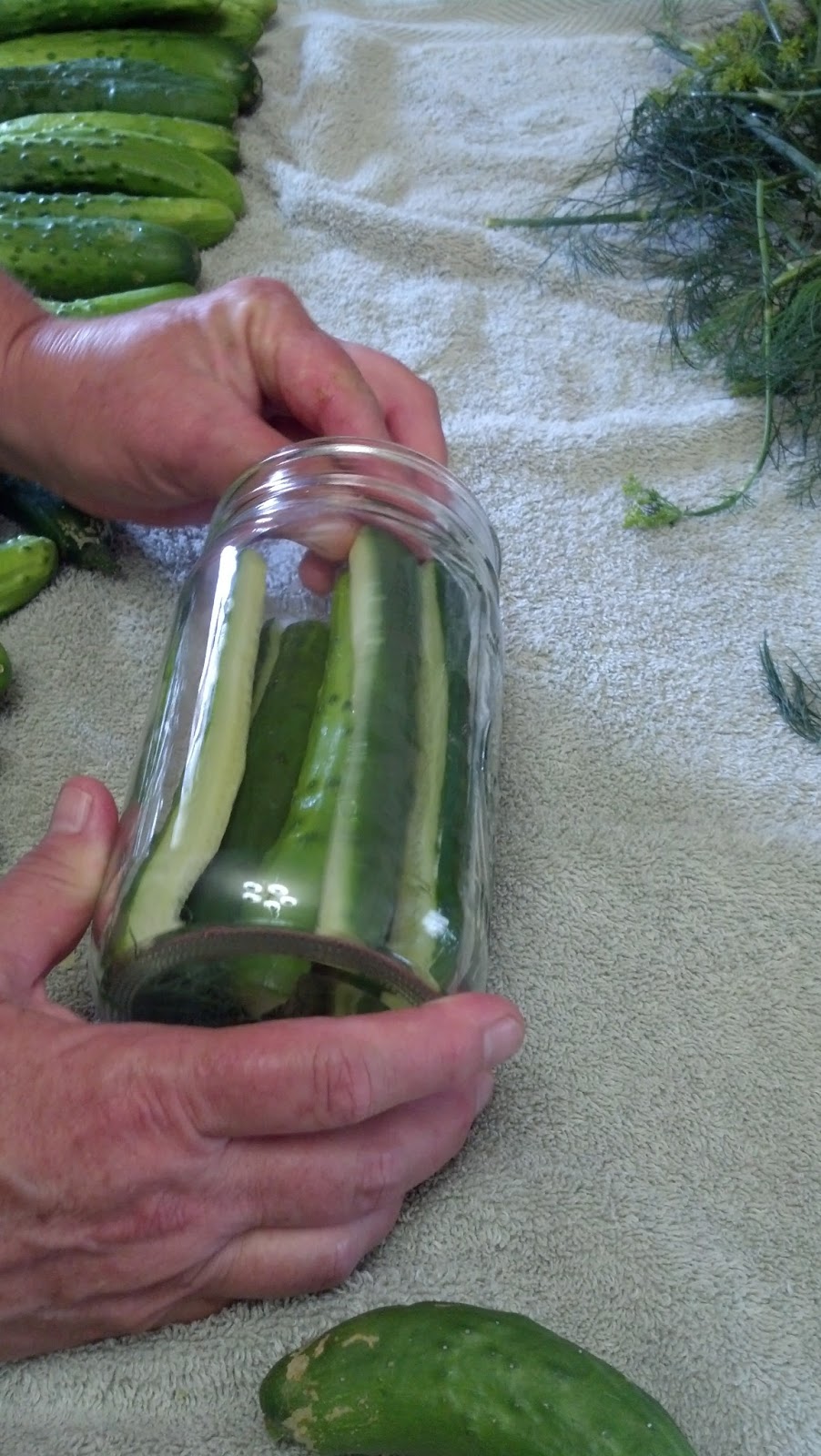 Pressure Cooking and Canning Easy Canning Making Dill Pickles