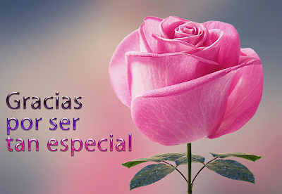 Imagenes Gracias X Ser Tan Especial | banco de im 225 genes para ver disfrutar y compartir Imagenes Gracias X Ser Tan Especial | banco de im 225 genes para ver disfrutar y compartir