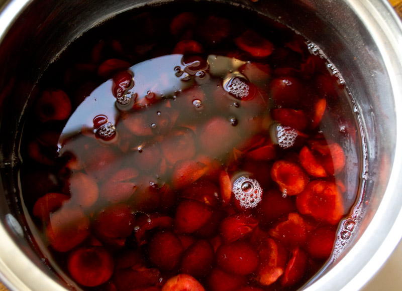 Lovely Apidae Drinking Vinegar