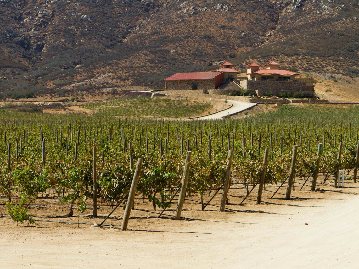Notas del Valle de Guadalupe Travel Guide Serious Eats Valle de