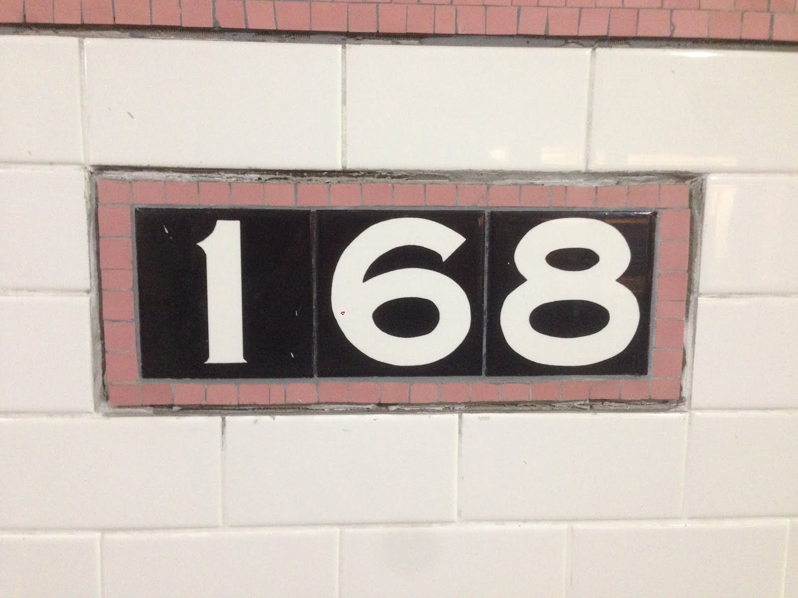 Post Collapse Biologische Zeitverschwendung