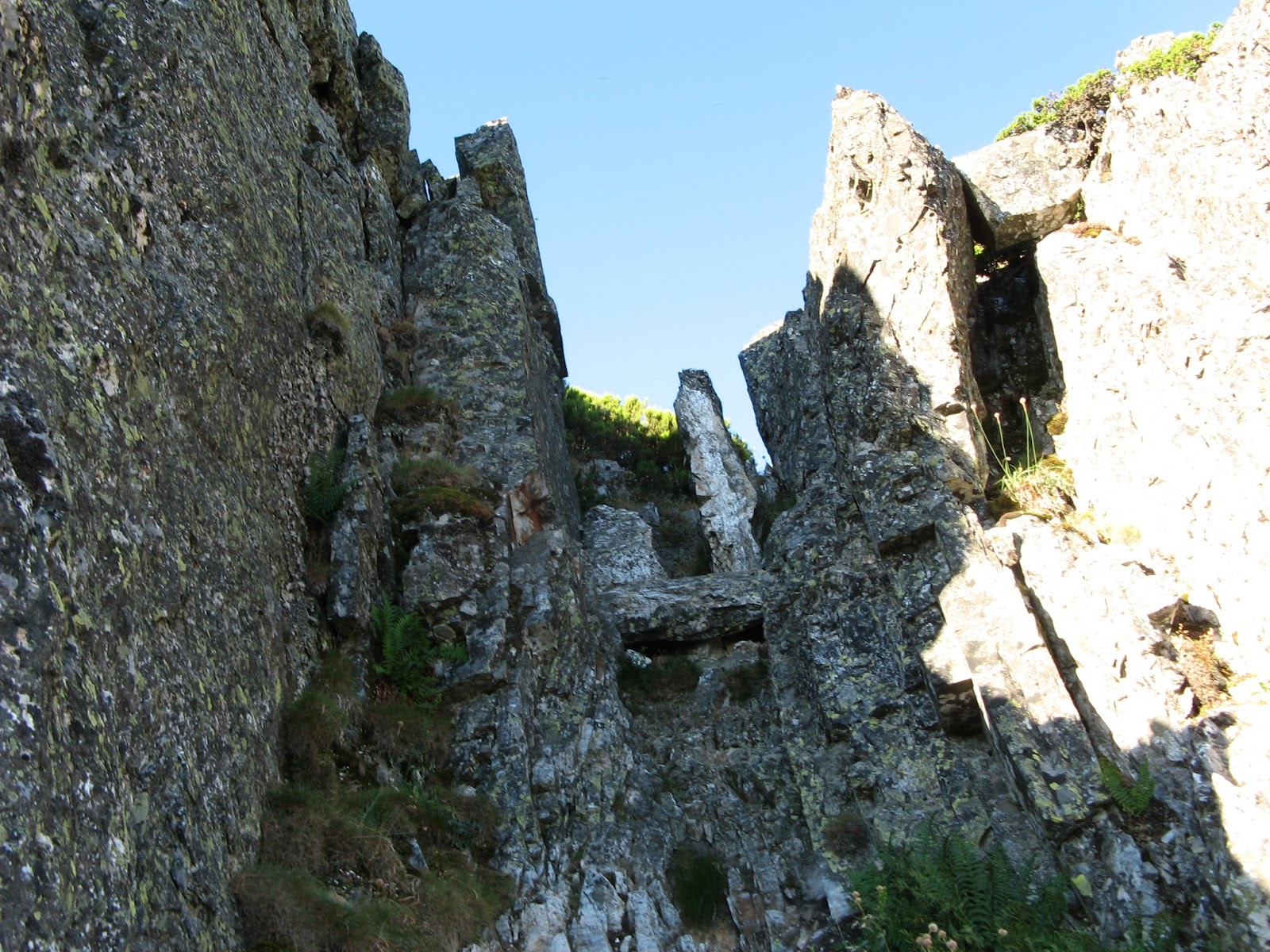 Camino a ninguna parte. Bitácora errática. La Buitrera (2.046) desde