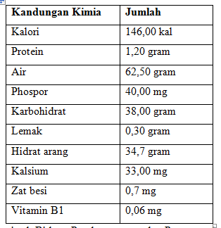 Bioteknologi Makanan
