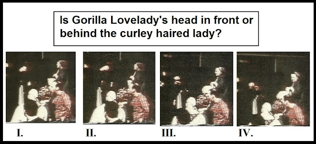LOVELADY+-+GORILLA+EXPERIMENTS+B.jpg