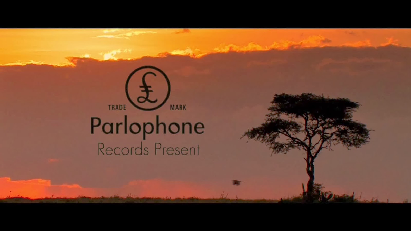 Coldplay Paradise 1HP