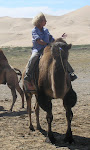 Me on a camel...