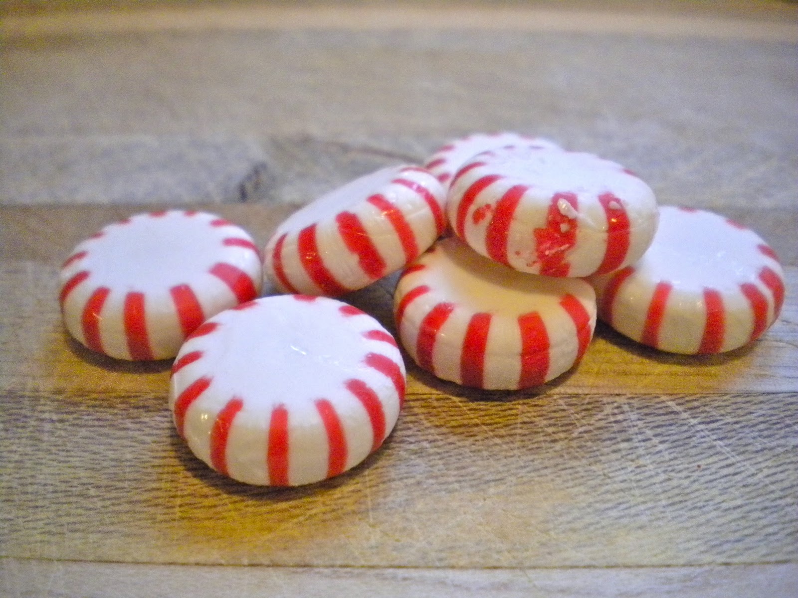 Kitchen Cactus Holiday Chocolate Drops