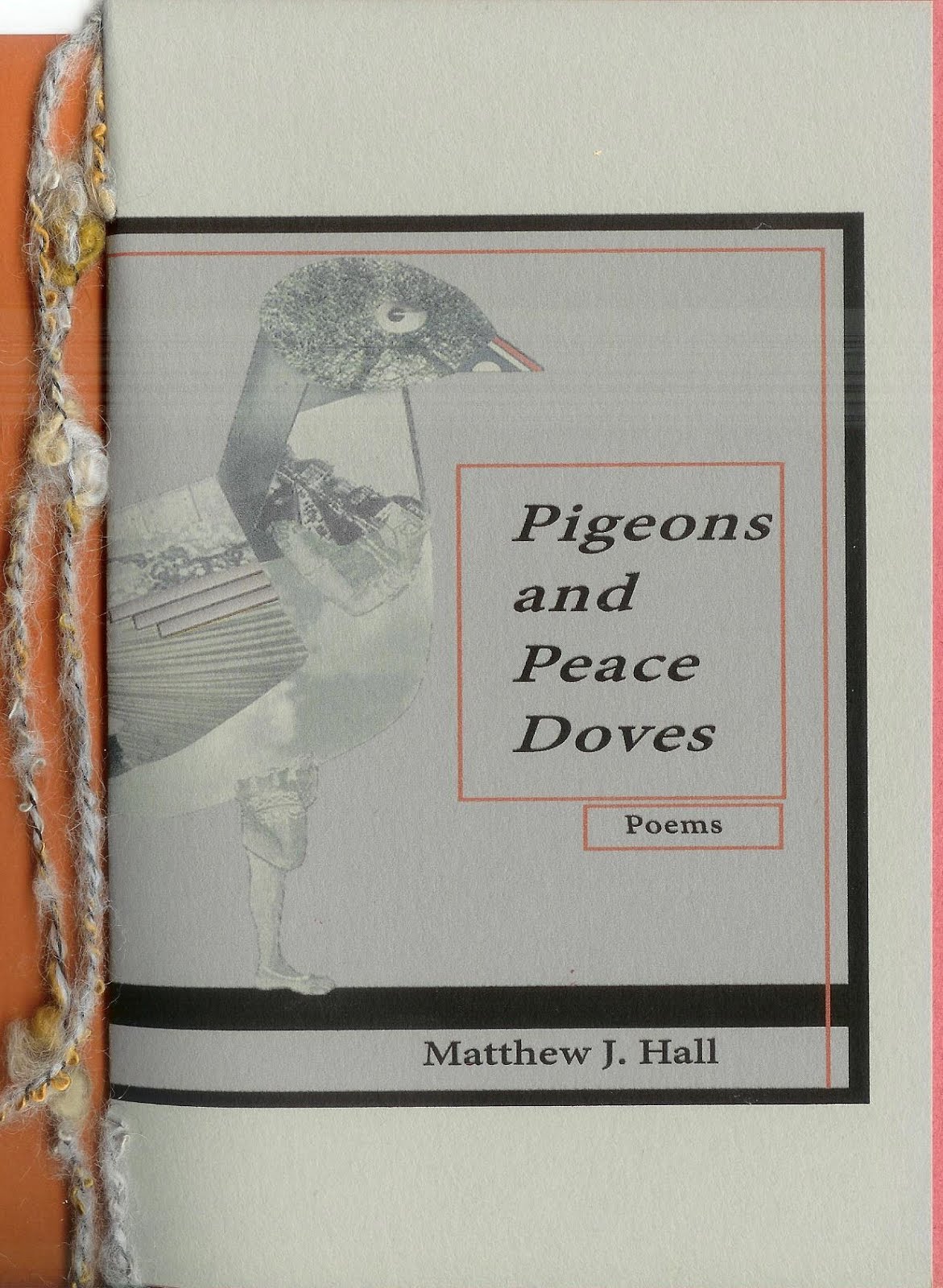 Pigeons and Peace Doves