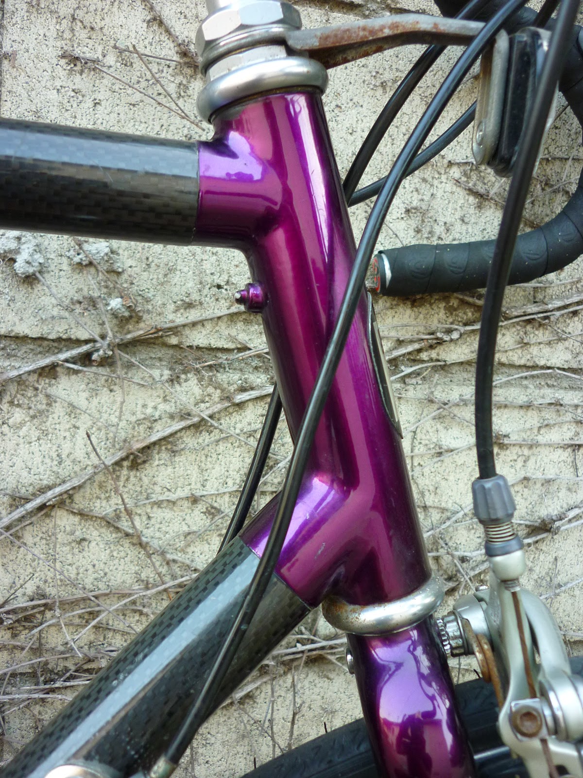 trek 2120 carbon road bike