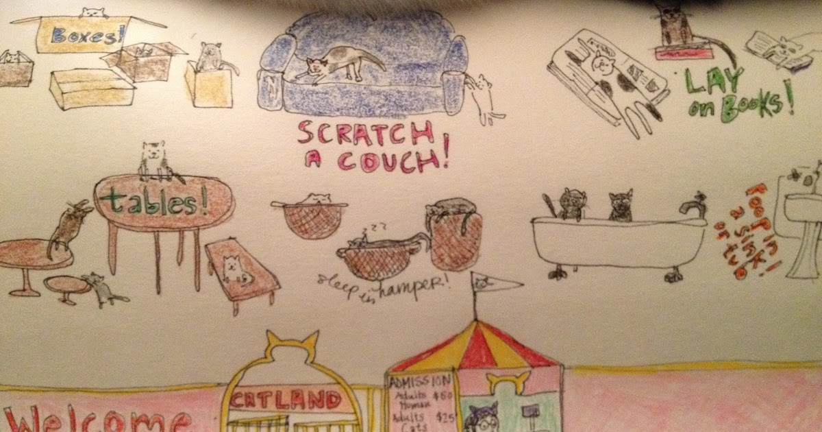 Olivia Cleans Green Can You Stop a Cat from Scratching the Sofa with