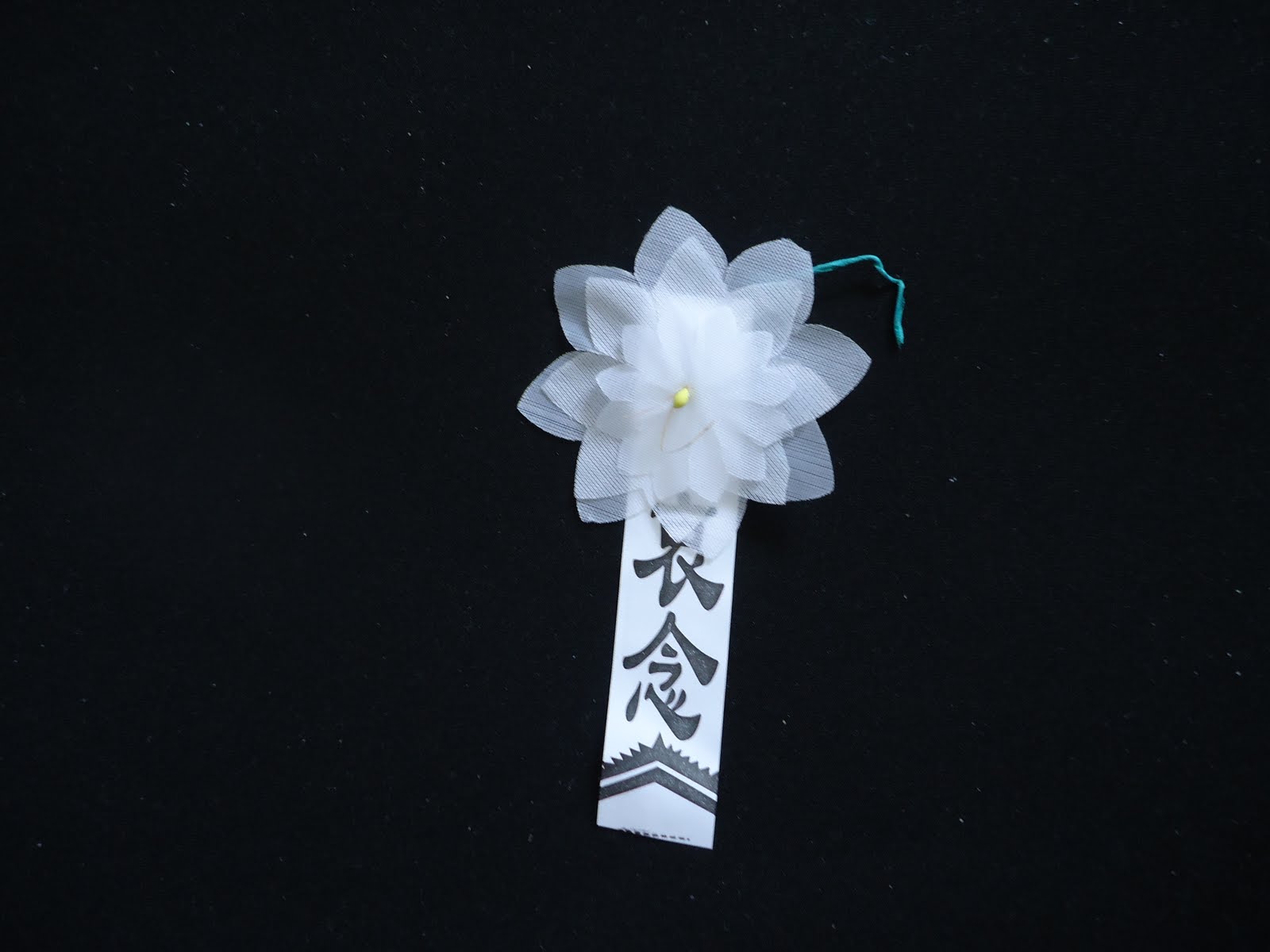 Adventures in China Chapter 16 A Chinese Funeral