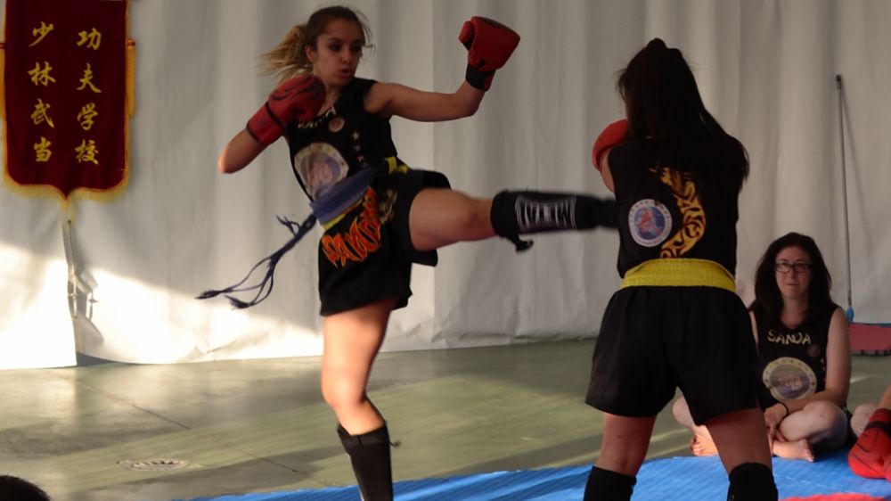 Sanda Fighter Cursos Boxeo Chino Alcala de Henares - Maestro Senna.