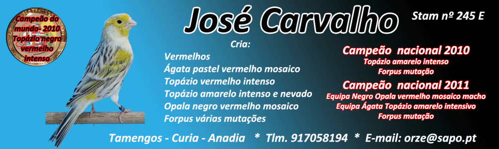 Zé Carvalho Canários