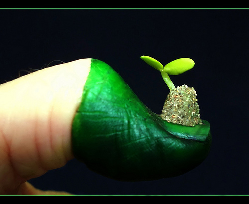 Green Thumb Pictures
