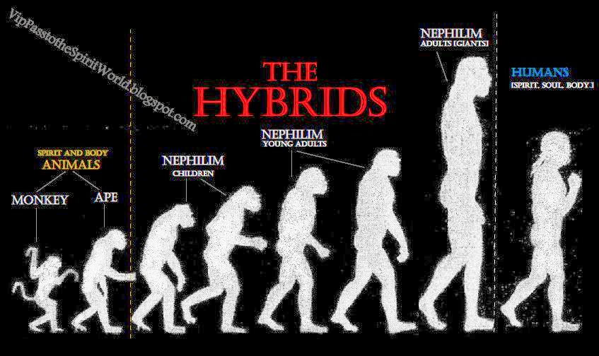 an overview of the human hybrids by michael f hammer Family tree dna’s genomics research center discovery of extremely ancient root to the human y dr michael f hammer of the. an overview of the human hybrids by michael f hammer Family tree dna’s genomics research center discovery of extremely ancient root to the human y dr michael f hammer of the.
