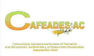 Coordinadora de Proyectos CAFEADES A.C. México.