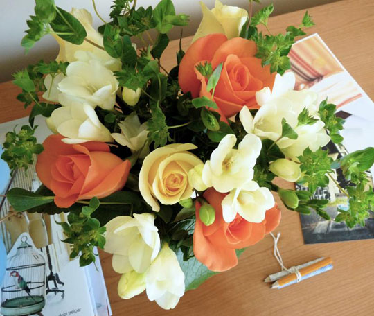 37+ beautiful roses hd wallpapers World Of picture: Beautiful Roses Pictures