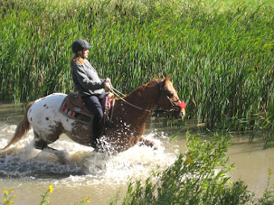 Running the Pond