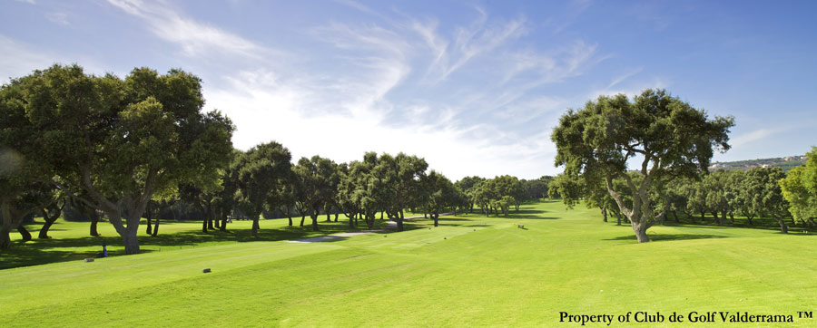 VALDERRAMA GOLF CLUB valderrama golf club: