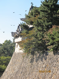 Castelo de Nagoya