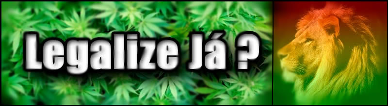 Legalize Já ¿?