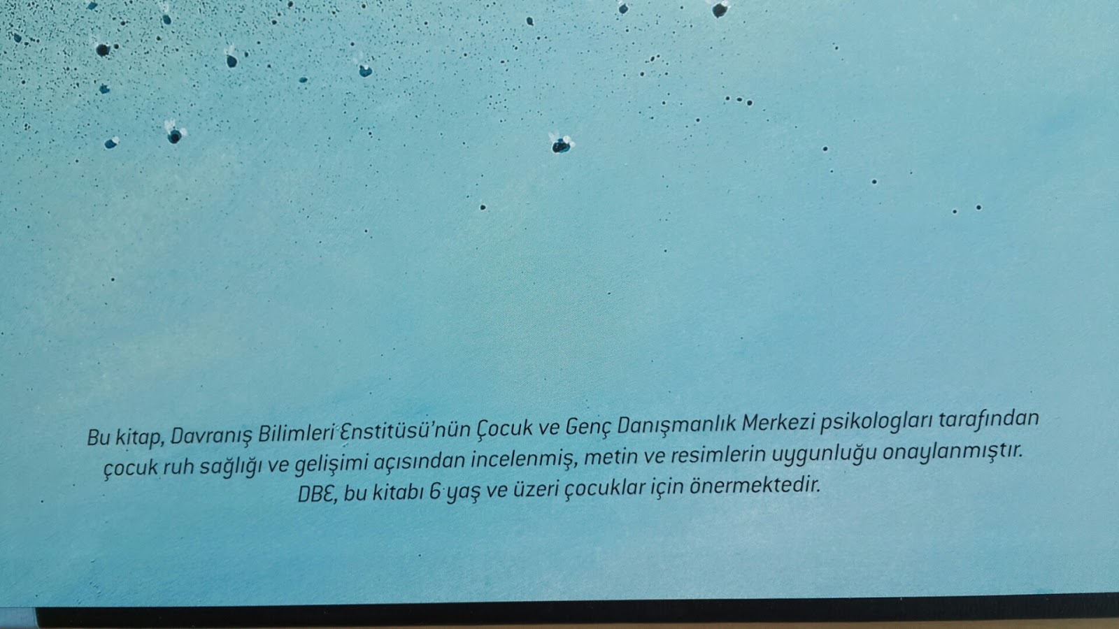 Canini En Cok Ne Yakar Bir Dolap Kitap
