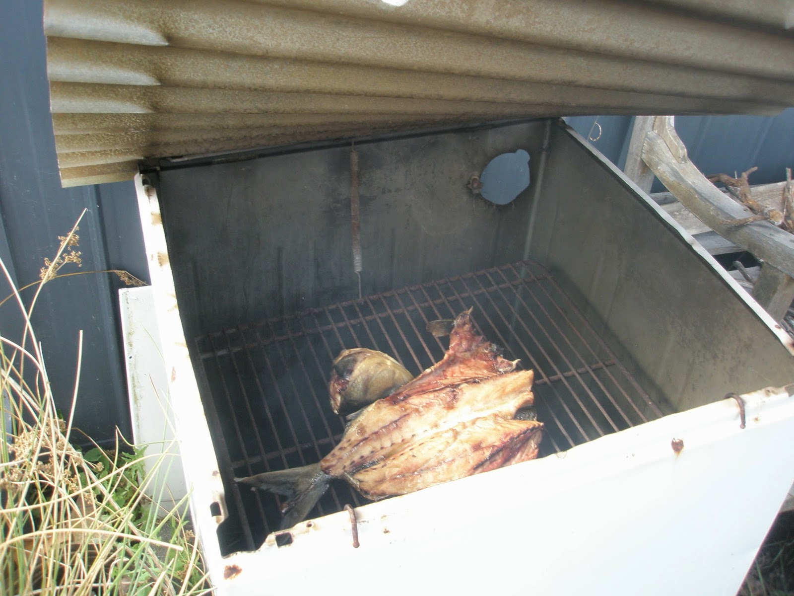 Arty Green in Paradise Upcycled Fish Smoker and a Driftwood Trellis