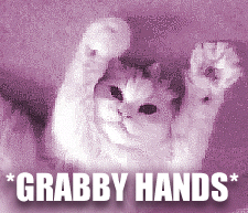 what the cat said