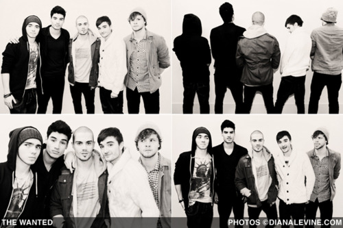 Love The WANTED