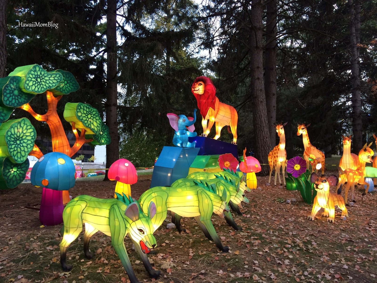 Hawaii Mom Blog Visit Spokane Washington State Chinese Lantern