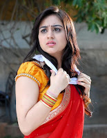 Aksha, in, Half, Saree, Latest, Hot, Pics