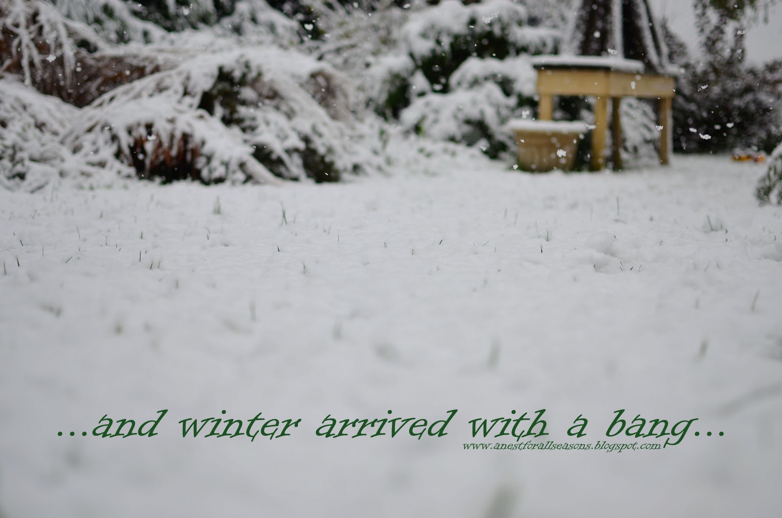 Snow Quotes And Poems. QuotesGram