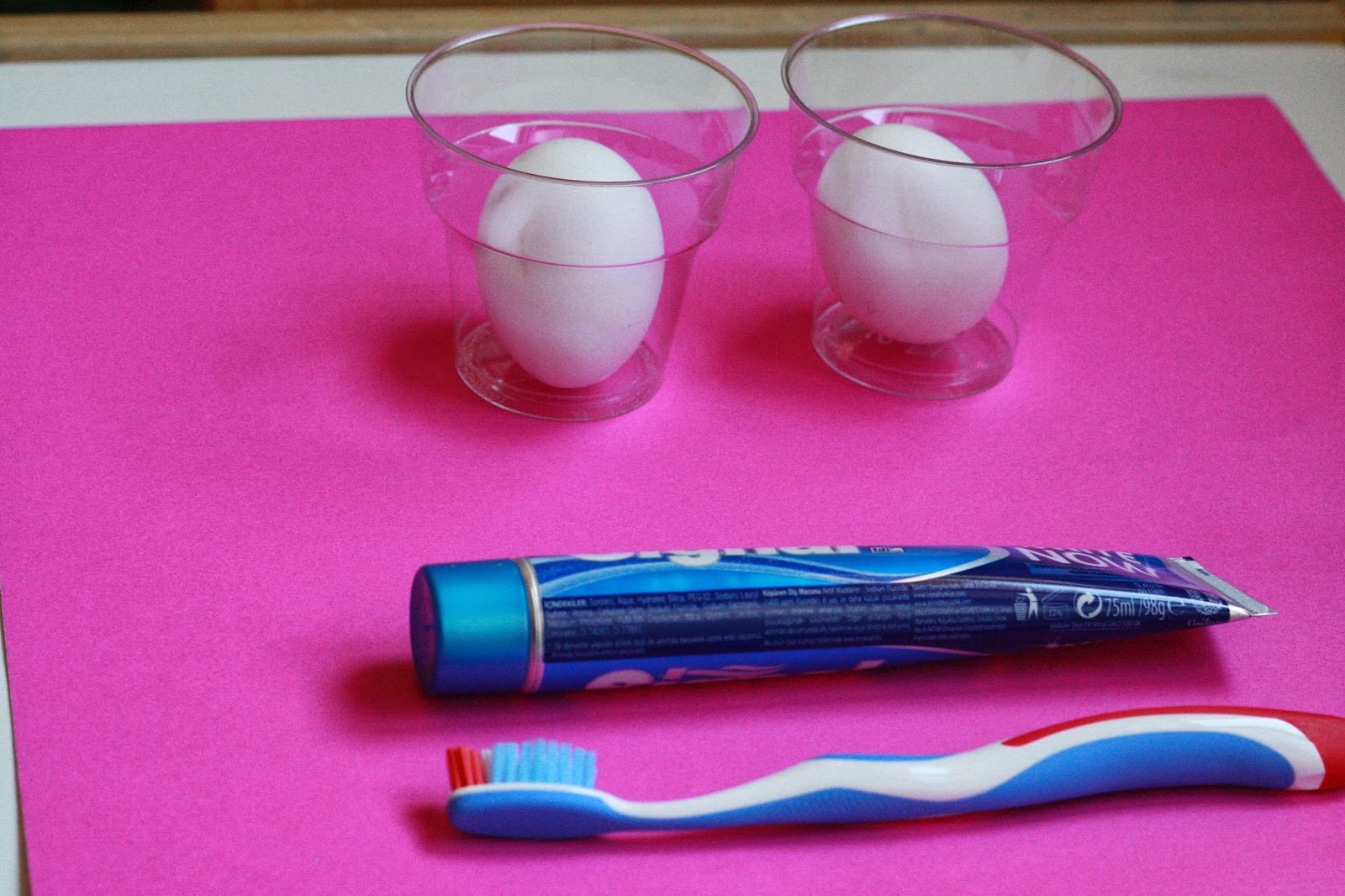 Montessori Ev Okulu Diş Sağlığı Etkinliği ( Dental Health Activity )