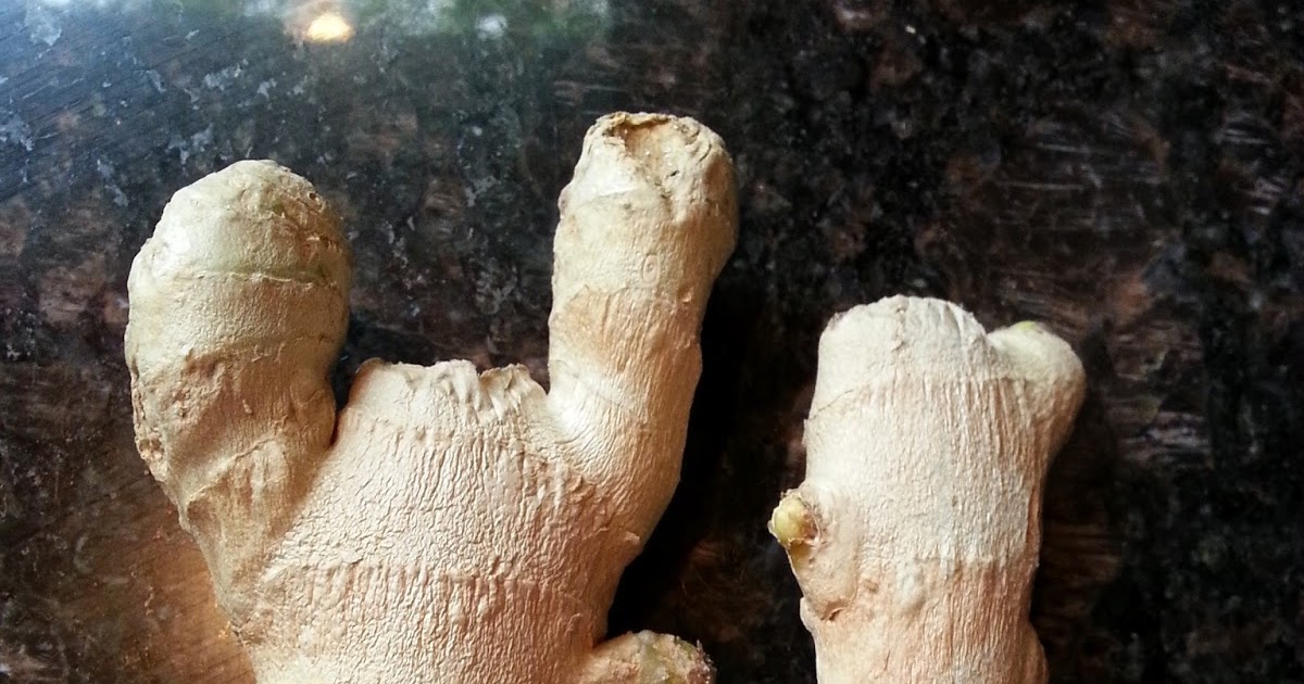 Frozen Dinner Diva How to store fresh ginger root