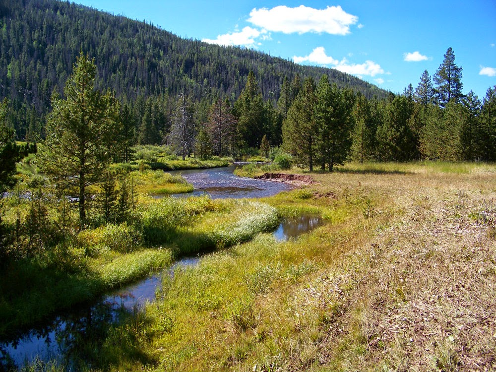 Runaway Bridal Planner Christmas Meadows, Utah High Uinta Mountains