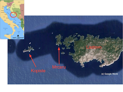 Ten Years (give or take) in the Evolution of a Protein